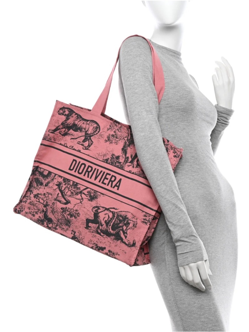 New Dior Tote Bag with organizer